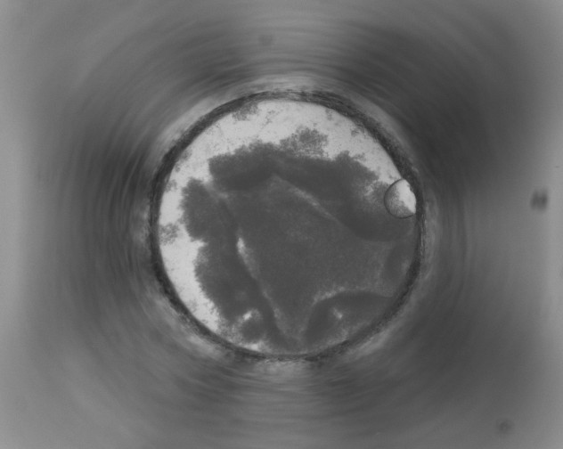 X0000113080778200910091231