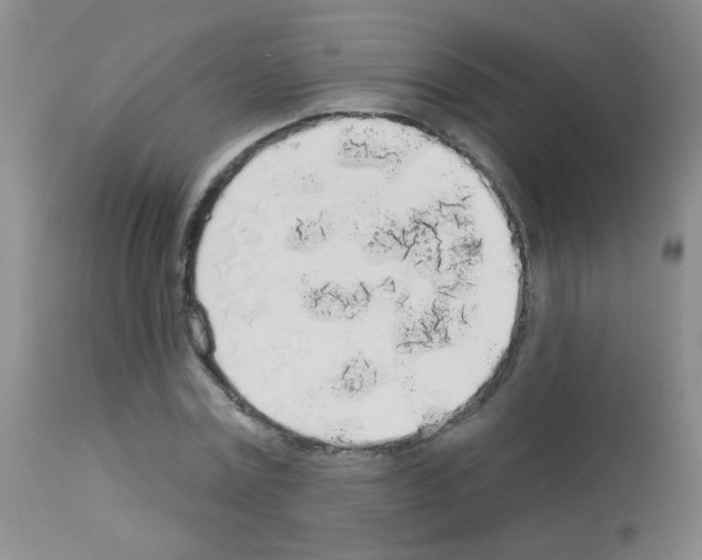 X0000113080779200910091231