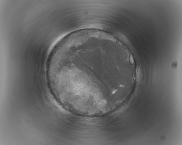 X0000113080780200910091231