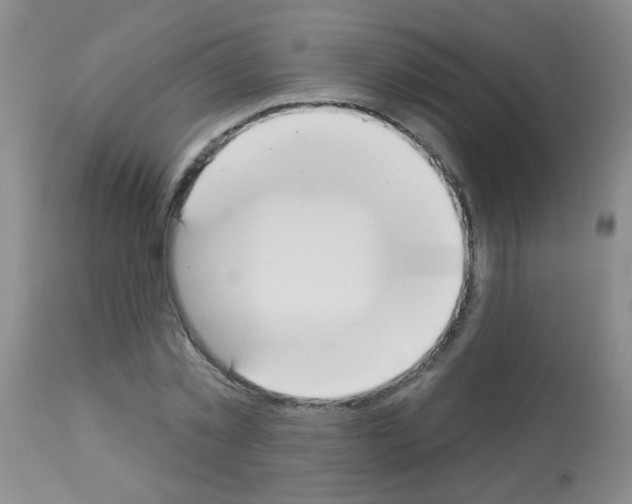 X0000113080781200910091231