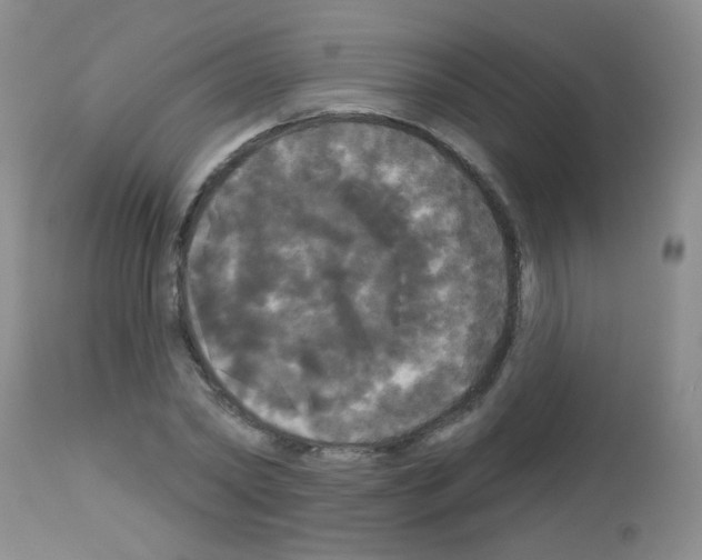 X0000113080782200910091231
