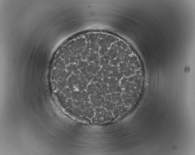 X0000113080783200910091231