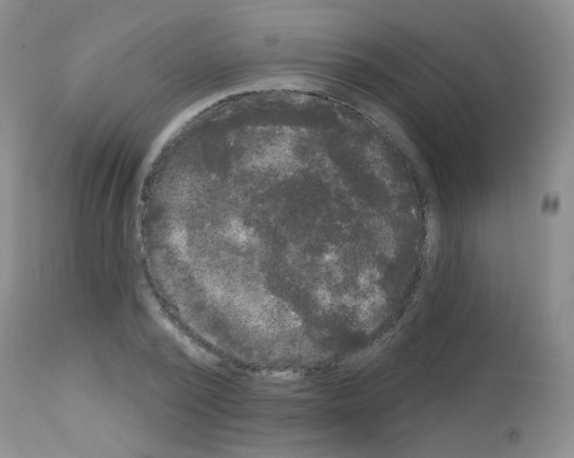 X0000113080784200910091231