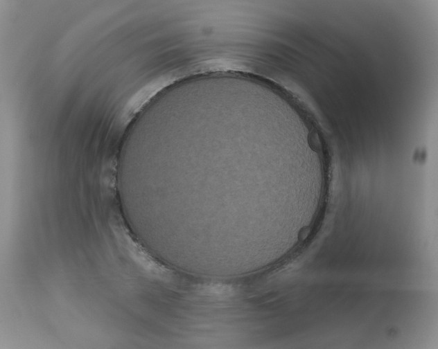 X0000113080785200910091231