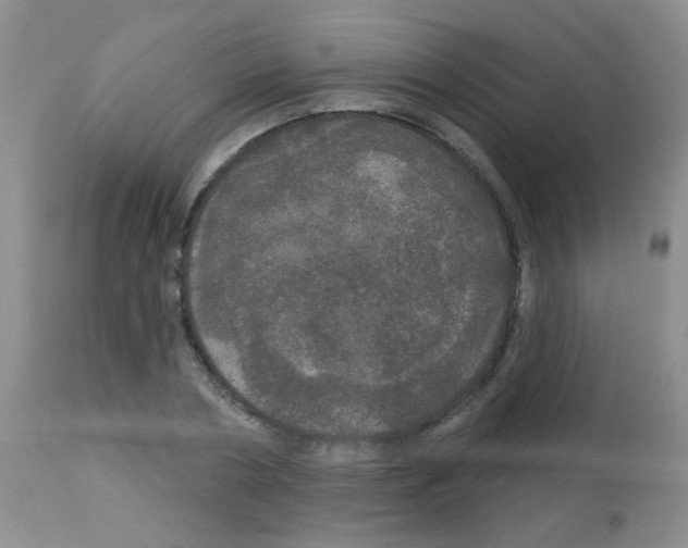 X0000113080786200910091231