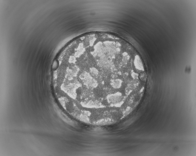 X0000113080787200910091231