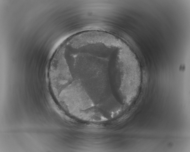 X0000113080788200910091231