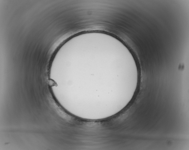 X0000113080789200910091231