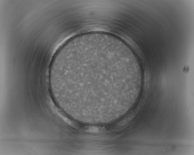 X0000113080790200910091231