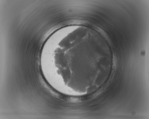 X0000113080794200910091230