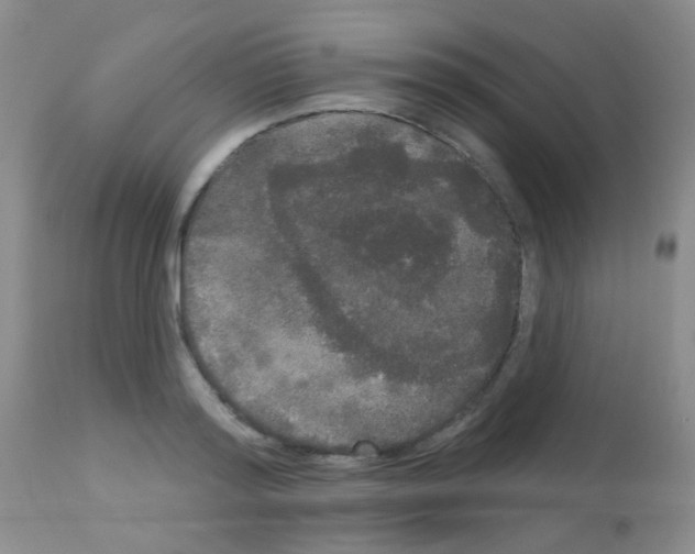 X0000113080796200910091230
