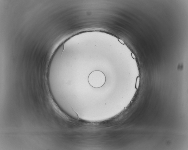 X0000113080797200910091230