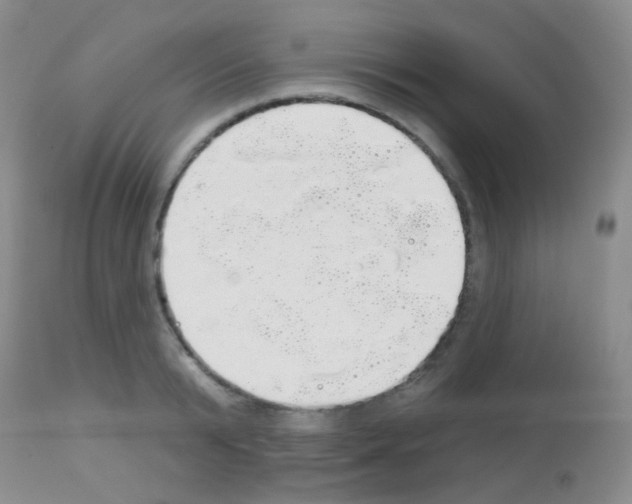 X0000113080799200910091230