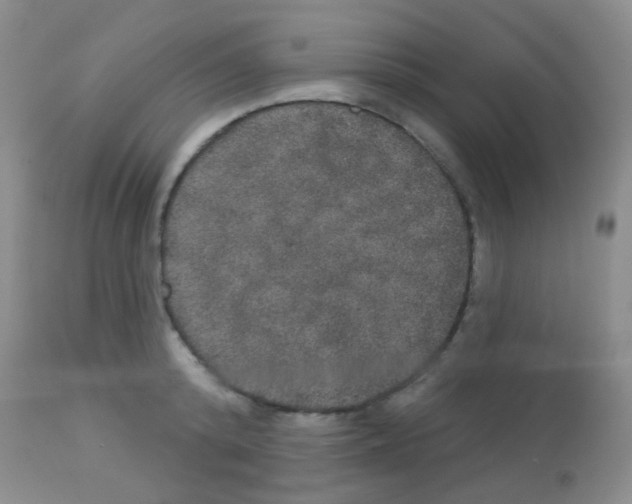 X0000113080800200910091230