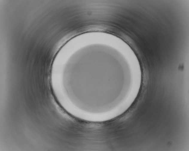 X0000113080802200910091230