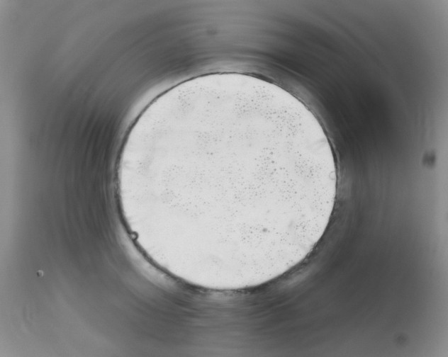 X0000113080803200910091230