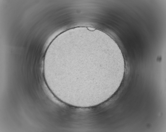 X0000113080804200910091230