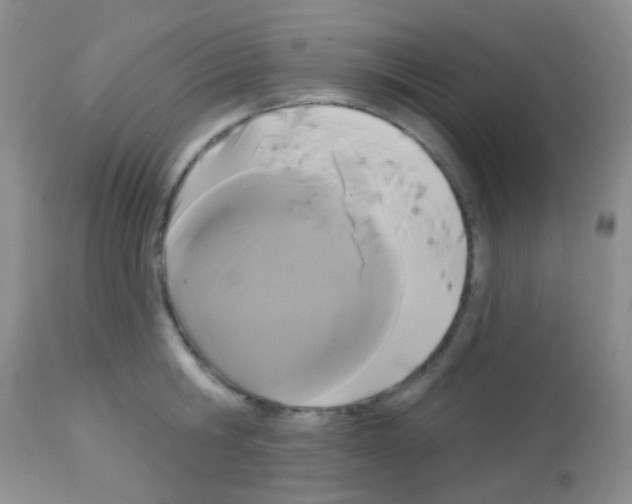 X0000113080806200910091230