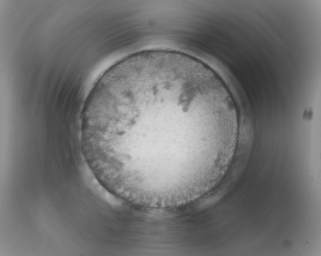 X0000113080807200910091230