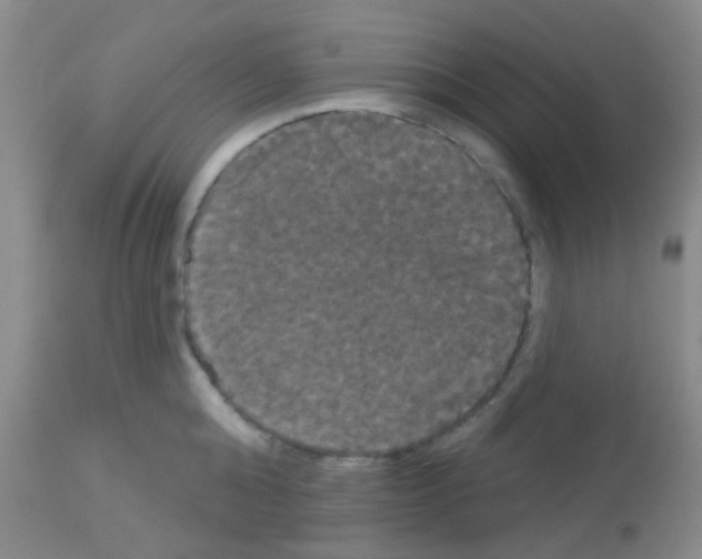 X0000113080808200910091230