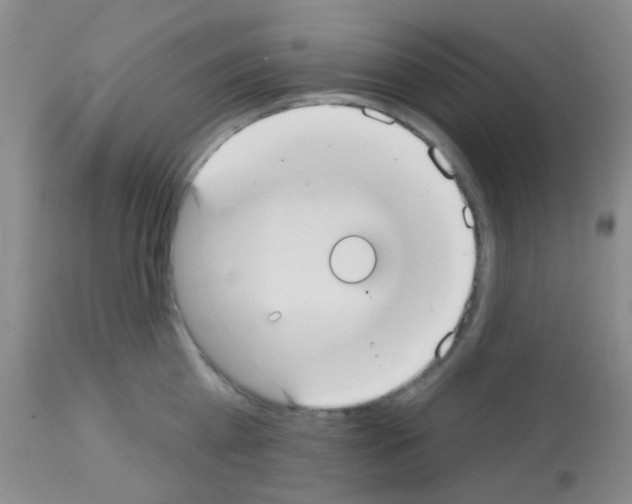 X0000113080809200910091230