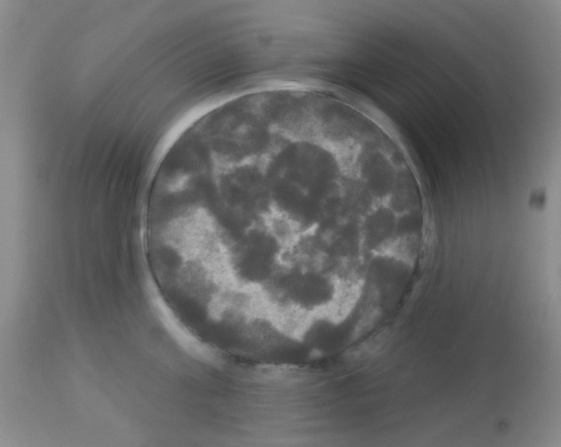 X0000113080811200910091230