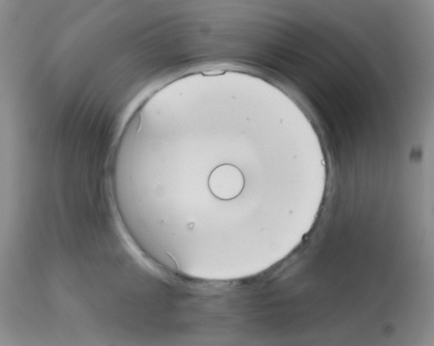 X0000113080813200910091230