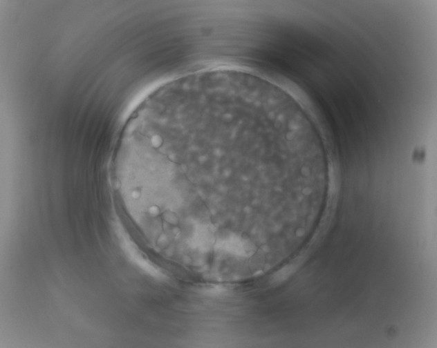 X0000113080814200910091230