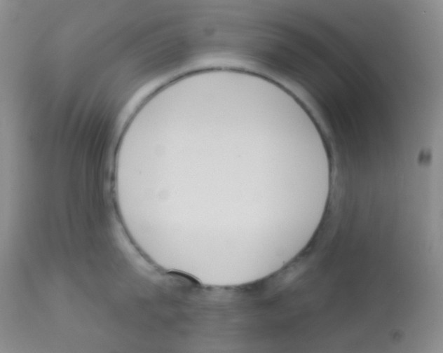X0000113080815200910091230