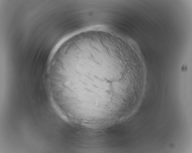 X0000113080816200910091230