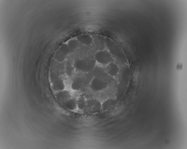 X0000113080817200910091229