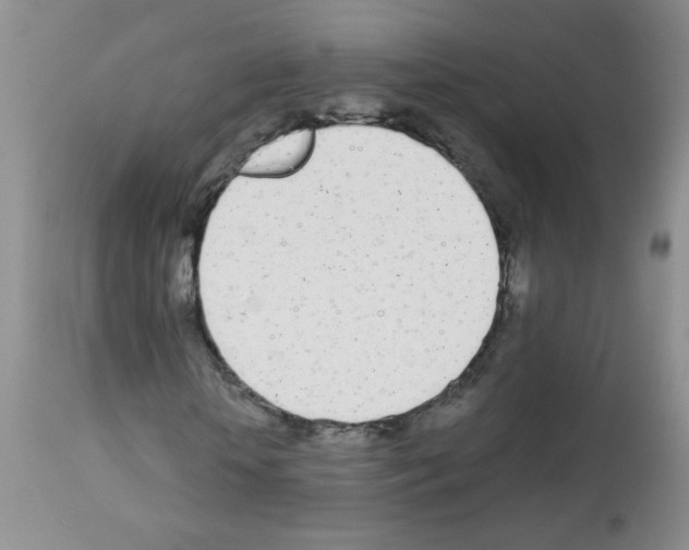 X0000113080818200910091229