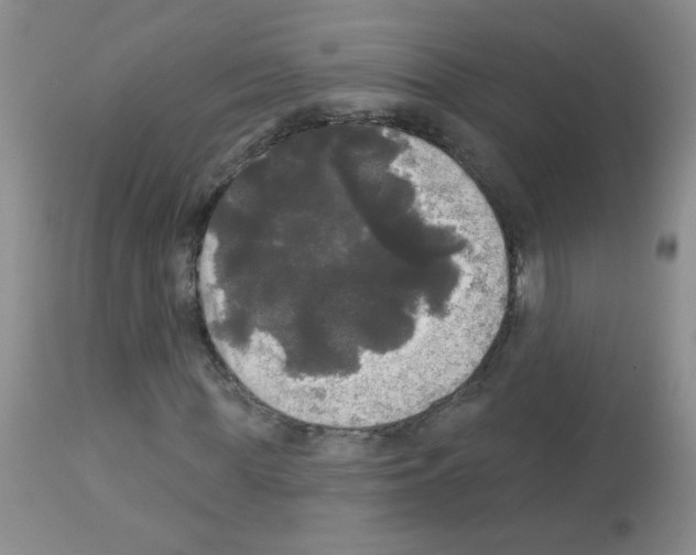 X0000113080819200910091229