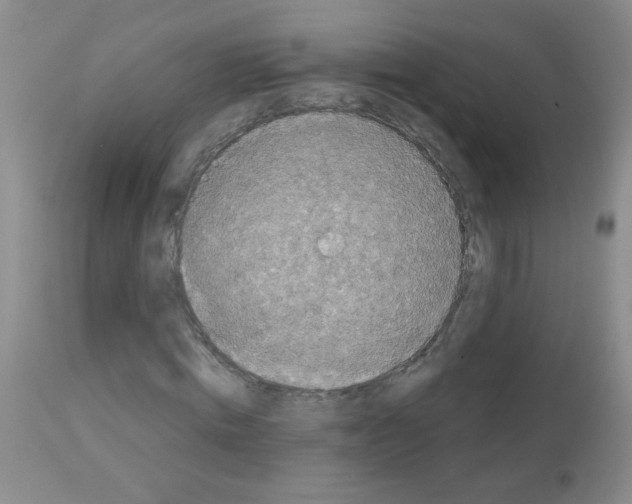X0000113080820200910091229