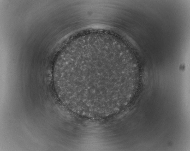 X0000113080821200910091229