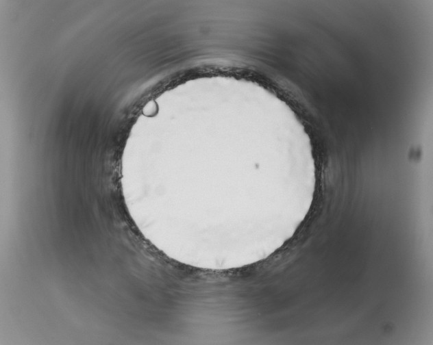 X0000113080822200910091229