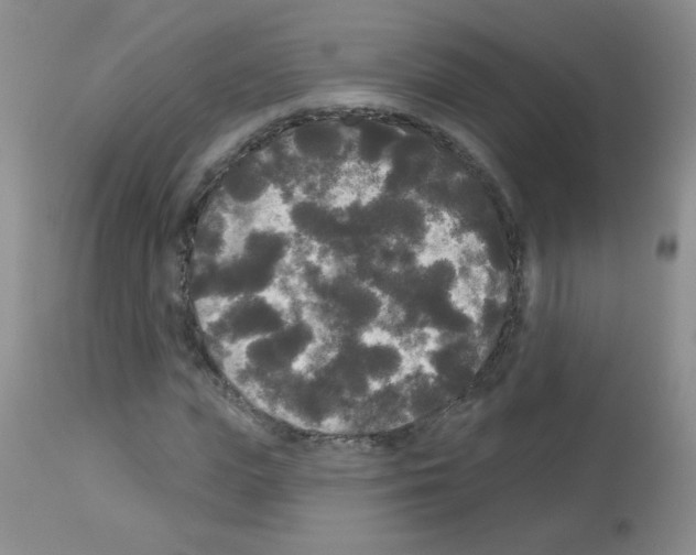 X0000113080823200910091229