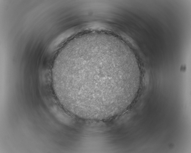 X0000113080824200910091229