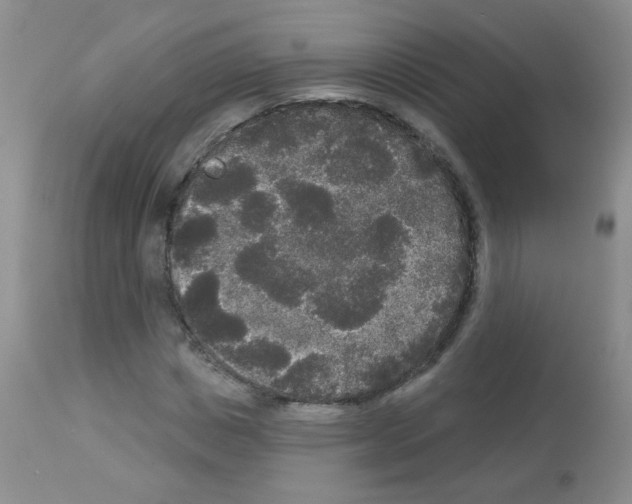 X0000113080825200910091229