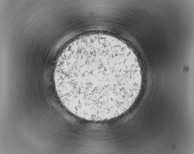 X0000113080826200910091229