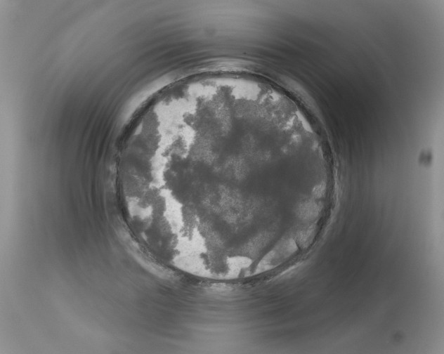 X0000113080827200910091230
