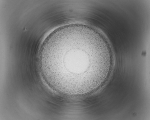 X0000113080828200910091230