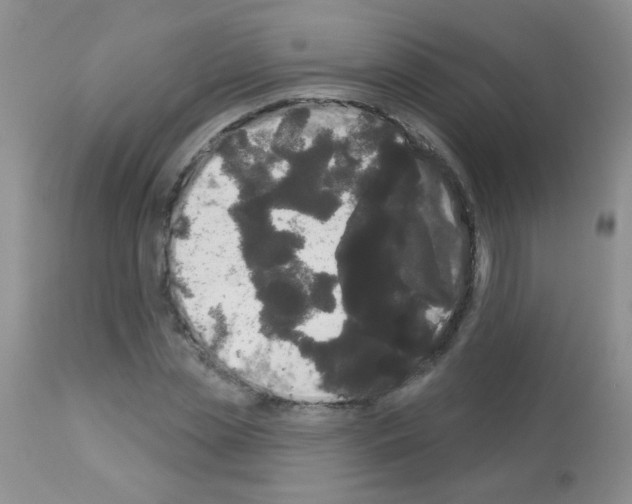 X0000113080829200910091230