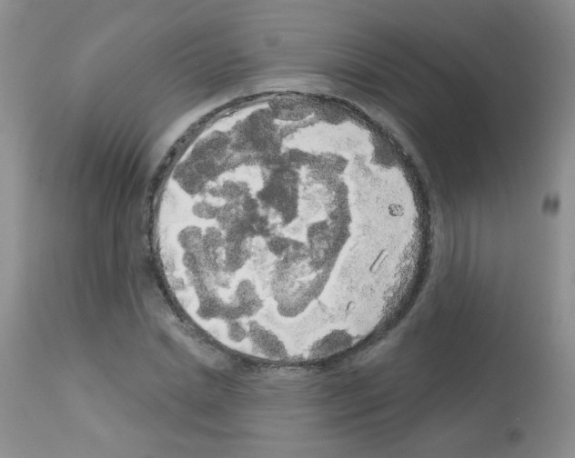 X0000113080830200910091230