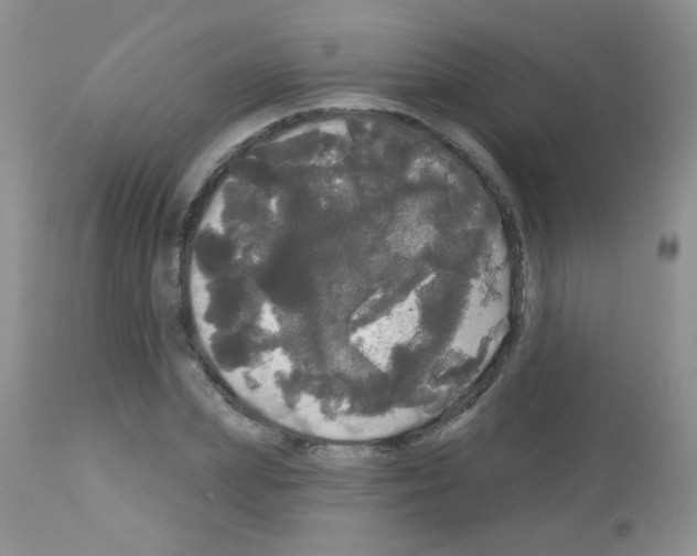 X0000113080831200910091230