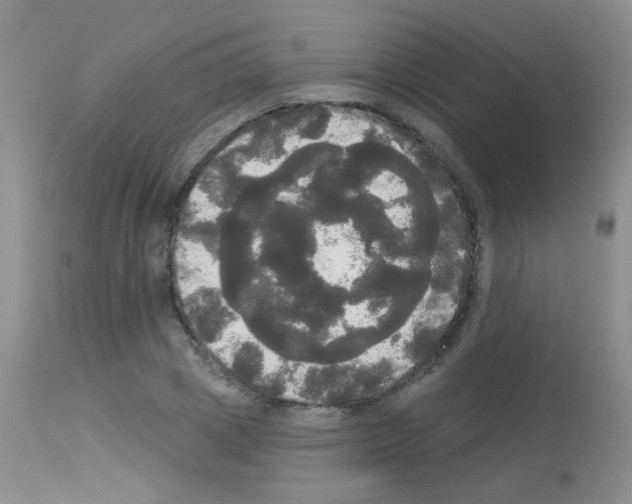 X0000113080833200910091230