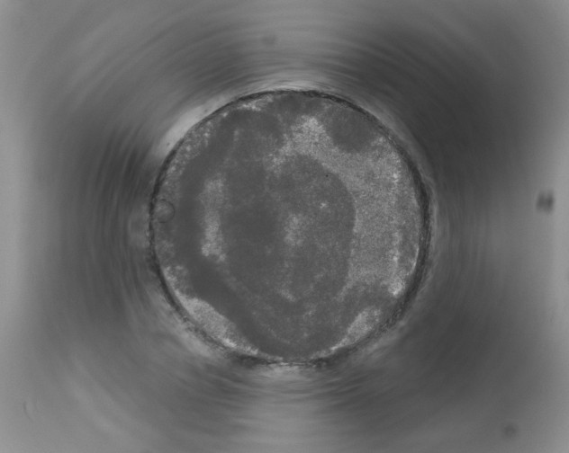 X0000113080834200910091230
