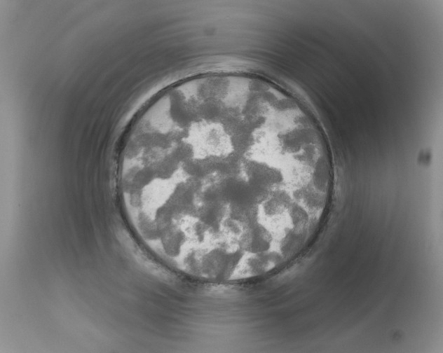 X0000113080835200910091230