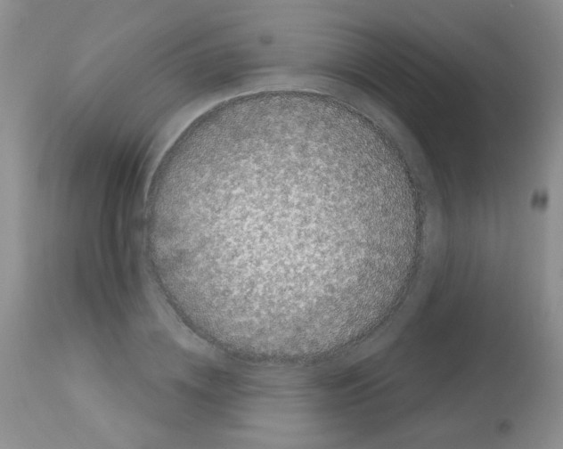 X0000113080836200910091230