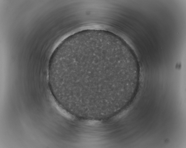 X0000113080837200910091230